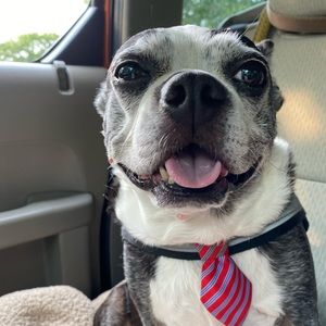 Meet your Posher, Cathy